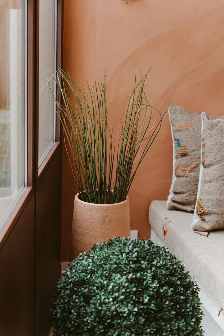 detail-photo-immobilier