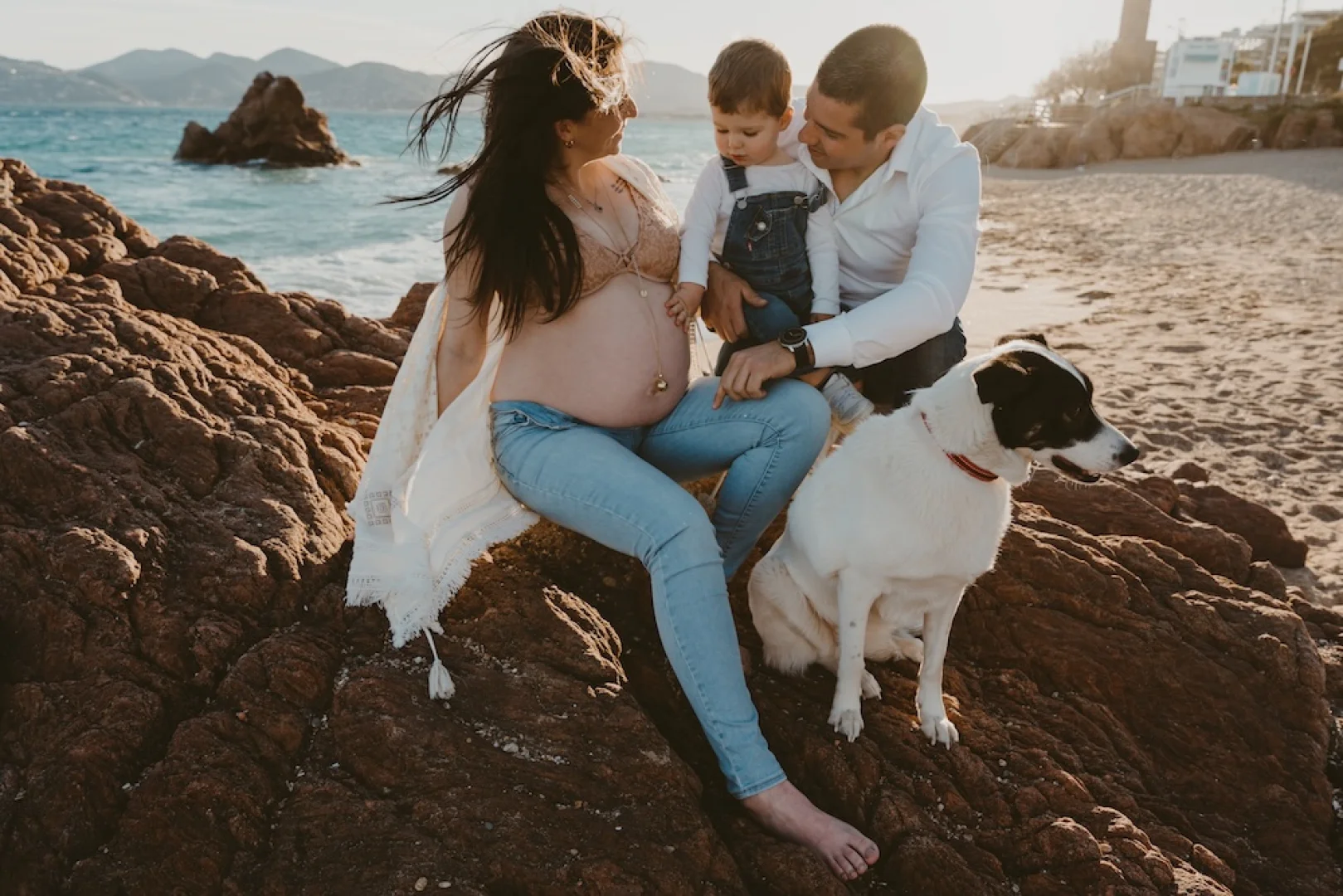 famille-animaux-photo