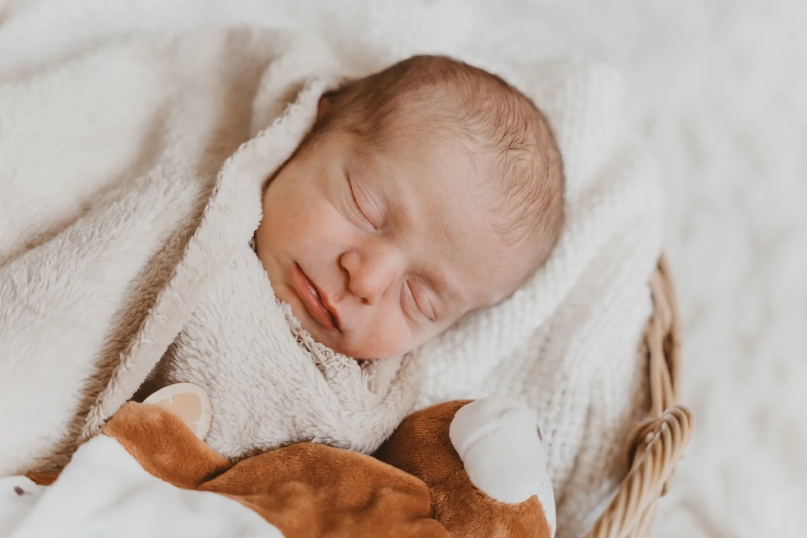 photo-bebe-nouveau-ne